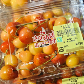 6月5日のおすすめ！山梨県産 さくらんぼ🍒『紅秀峰』