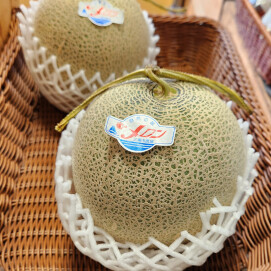 7月21日のおすすめ！🍈『三浦メロン』🍈