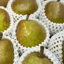 11月23日のおすすめ！洋梨『ラ・フランス』