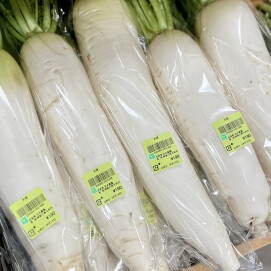 4月16日のおすすめ！神奈川県産『大根』