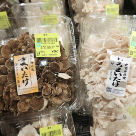 2月2日のおすすめ!やまこきのこ園『まいたけ』『しろまいたけ』