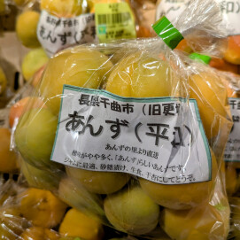 6月17日のおすすめ！あんず「平和」