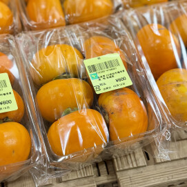9月15日のおすすめ！茨城県産『柿』