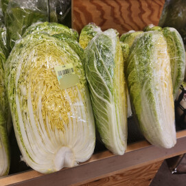 11月25日のおすすめ！『白菜』