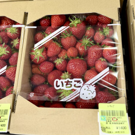 4月16日のおすすめ！『不揃いいちご』