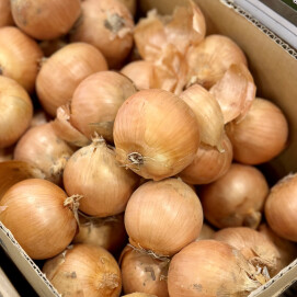 2月16日のおすすめ!北海道産『たまねぎ』と『にんじん』