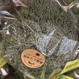 12月23日のおすすめ！ハミーファームさんの『ブロッコリー』