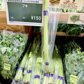 4月25日のおすすめ！自社農園産『ふき』