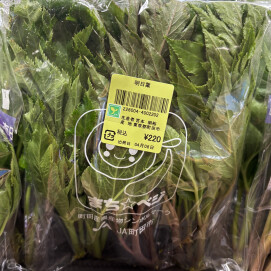 4月6日のおすすめ！町田産『明日葉』