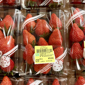 3月29日のおすすめ！クラシックいちご『やよいひめ』🍓