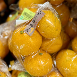 11月29日のおすすめ！金次郎野菜のコーナーより『みかん』