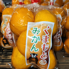 12月7日のおすすめ！『熊本みかん』