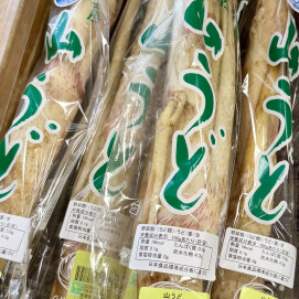 1月28日のおすすめ!『山うど』