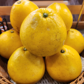 2月12日のおすすめ!『文旦(ぶんたん)』