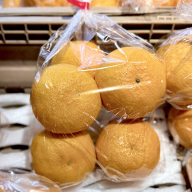 4月1日のおすすめ！柑橘『不知火（しらぬい）』