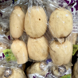 3月20日のおすすめ！『古代れんこん』