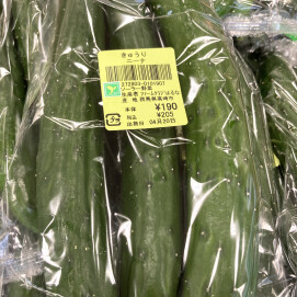 4月20日のおすすめ！『自社農場産 きゅうり』