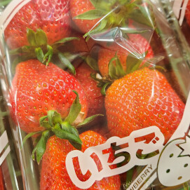 4月3日のおすすめ！いちご『やよいひめ（訳あり品）』🍓