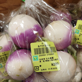 1月30日のおすすめ!神奈川県 古木農園産『あやめ雪かぶ』