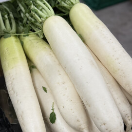 10月29日のおすすめ！春ちゃん農園の『大根』