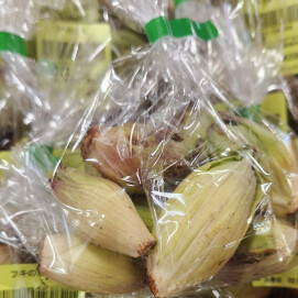 2月24日のおすすめ！『ふきのとう』