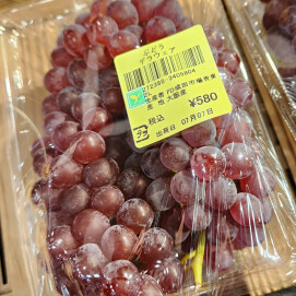 7月7日のおすすめ！🍇『デラウェア』🍇