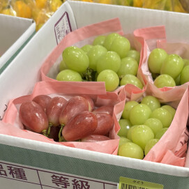 9月26日のおすすめ！山梨県産「ミックスぶどうセット」