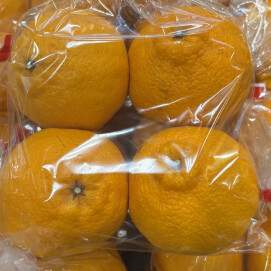 3月25日のおすすめ！柑橘『しらぬい』