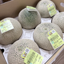 4月17日のおすすめ！茨城県産『オトメメロン』