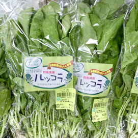 4月15日のおすすめ！群馬県産『ルッコラ』