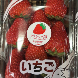 3月1日のおすすめ!クラシックいちご『紅ほっぺ』🍓