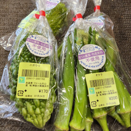 7月24日のおすすめ！✨ファーム片山さんの野菜✨