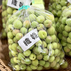 5月13日のおすすめ！『小梅』
