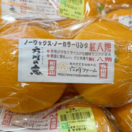 2月14日のおすすめ!和歌山県産『紅はっさく』