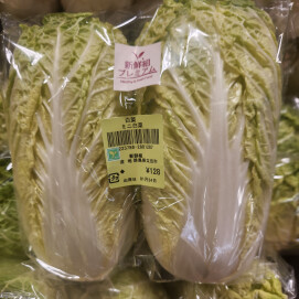 1月24日のおすすめ！『ミニ白菜』