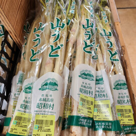 3月2日のおすすめ!『山うど』