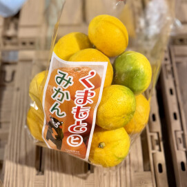 10月6日のおすすめ！熊本県産『みかん』