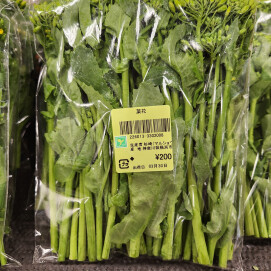 3月31日のおすすめ！横浜市産『菜花』