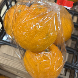 2月21日のおすすめ！柑橘『しらぬい』