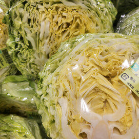 4月14日のおすすめ！群馬県産『春キャベツ』