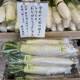 1月7日のおすすめ！『大根』