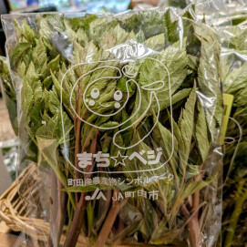 3月18日のおすすめ！南町田産『明日葉』