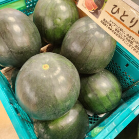 8月9日のおすすめ！山形県産🍉『ひとりじめ西瓜』🍉