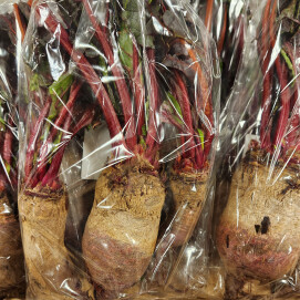 3月7日のおすすめ！『ビーツ』