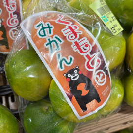 9月23日のおすすめ！『熊本みかん』