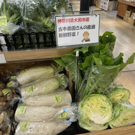 12月1日のおすすめ！「古木農園の野菜」