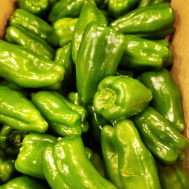 2月28日のおすすめ!宮崎県産『ピーマン』