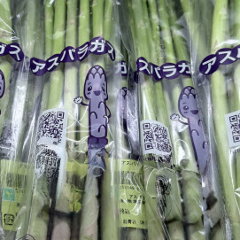 6月28日のおすすめ！埼玉県産『アスパラガス』