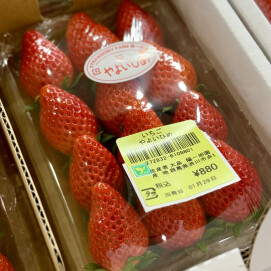 1月29日のおすすめ!いちご『やよいひめ』