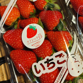 2月3日のおすすめ!自社農園産いちご『ベリーポップ すず』